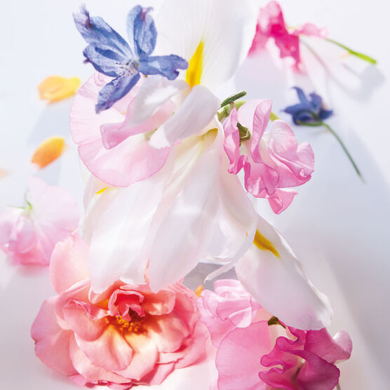 DIOR       MISS DIOR     EDP  20ML